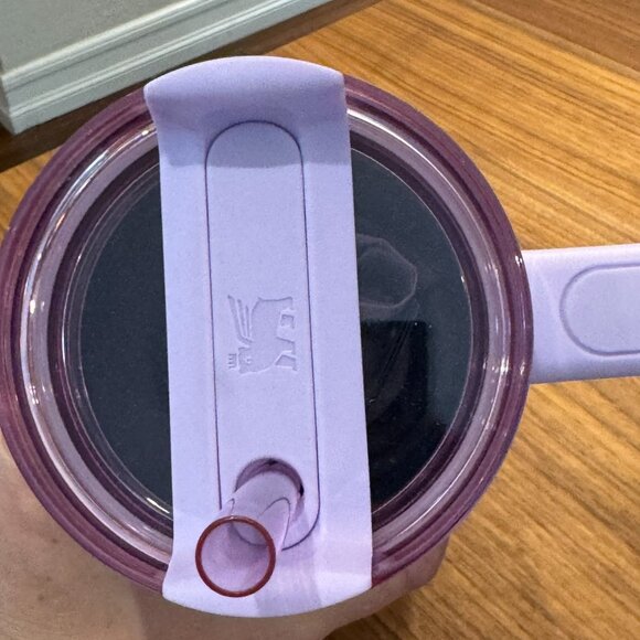 Stanley X Target Exclusive WICKED For Good 2025 40oz ELPHABA and 30 oz Glinda - Picture 10 of 16